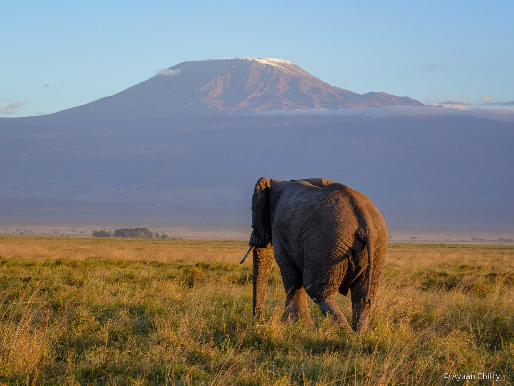 Amboseli National Park